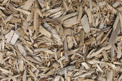 biomass boilers Higher Dunstone